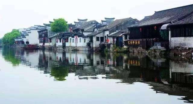 探索金枝玉叶花怎么养才能养好热门话题,发现红迪网上的精彩世界!